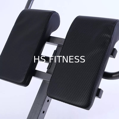 2022 fitness chair professional goat stand up waist abdominal muscle trainer roman chair